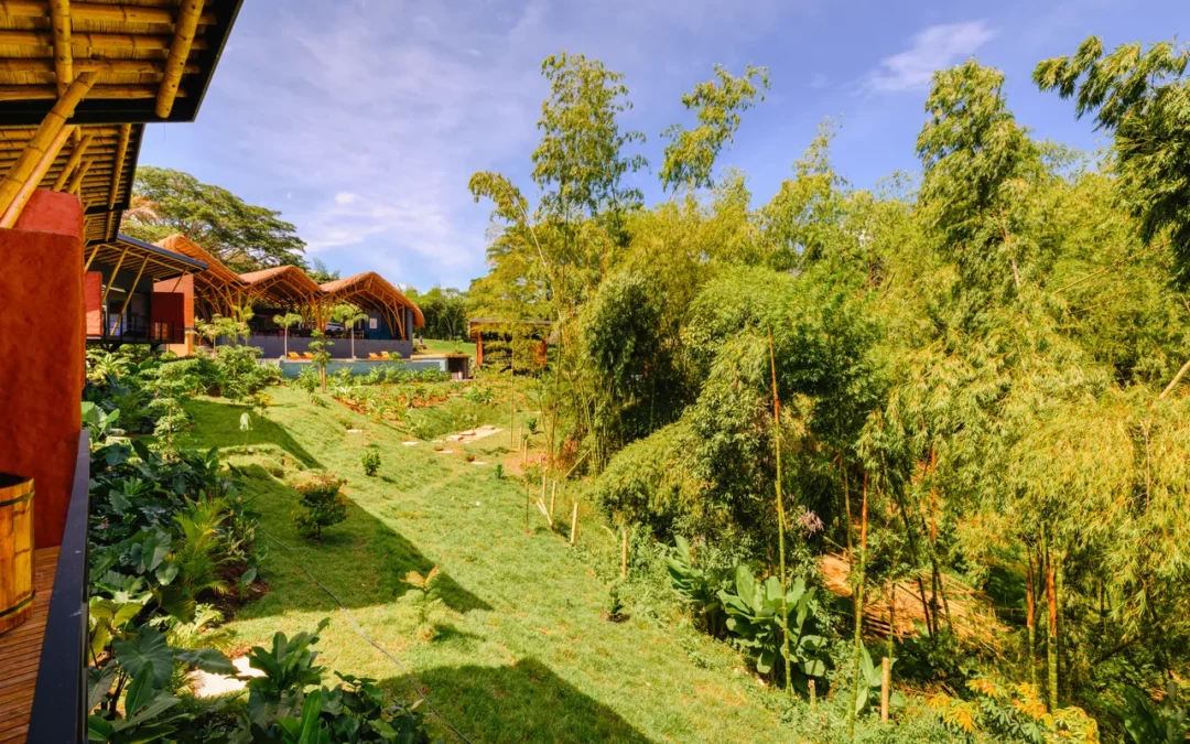 Bienestar sostenible: spa y confort natural en Kawa Bamboo Retreat