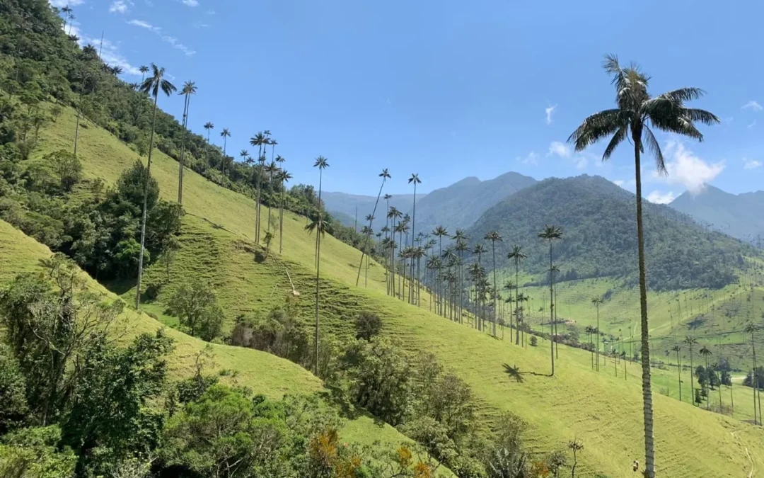 Mejor época para visitar el Eje Cafetero